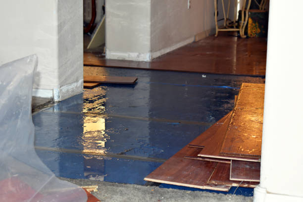 Professional Basement Water Removal technician working in Kerens, TX