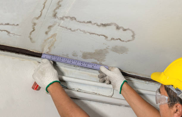 Reliable Basement Water Removal contractor in Kerens, TX by Water Damage Irwin